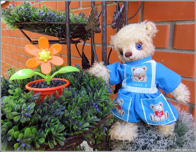 Мишка Михаэлла играет в песочнице | Бэйбики Мишка Михаэлла играет в песочнице (фото 10)