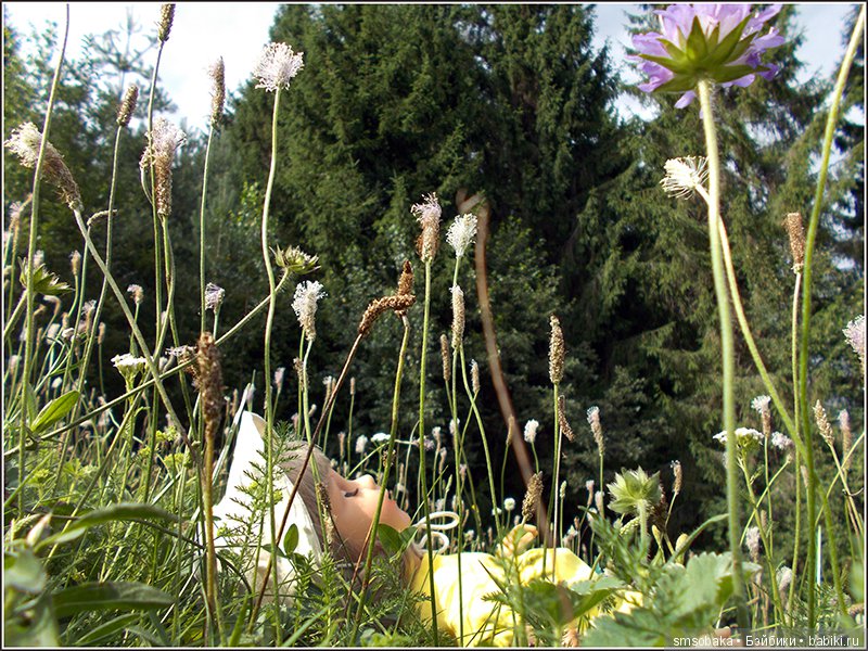 Воспоминания о лете. 3 часть