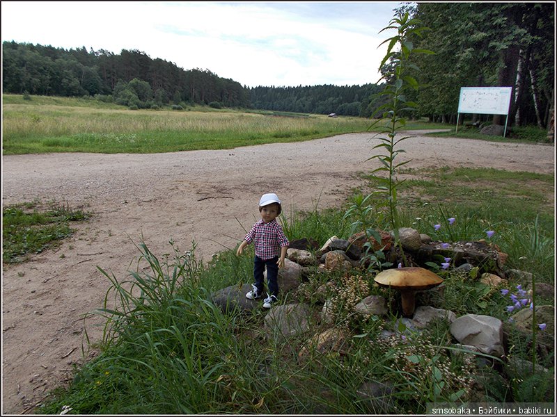 Воспоминания о лете. 3 часть