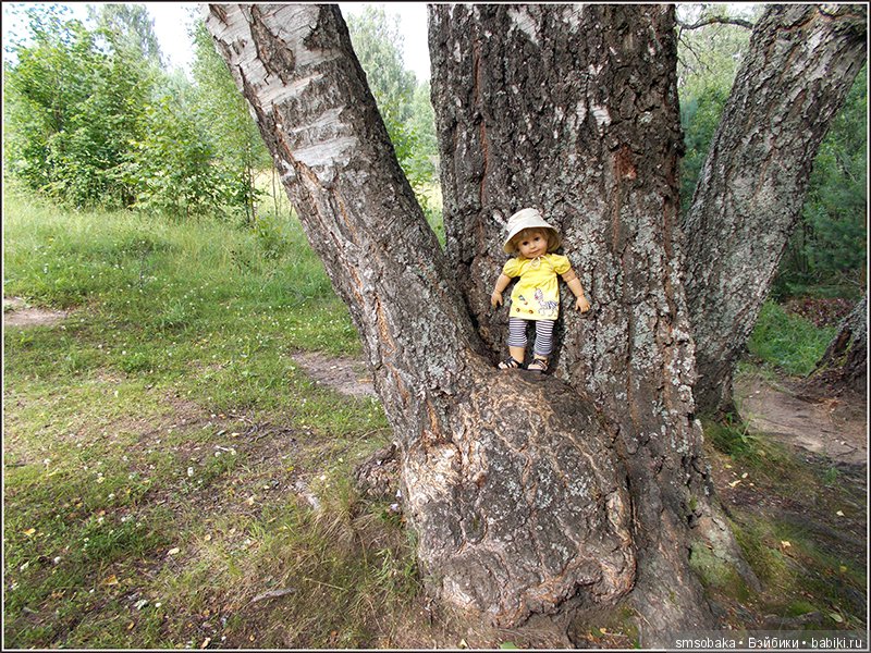 Воспоминания о лете. 3 часть