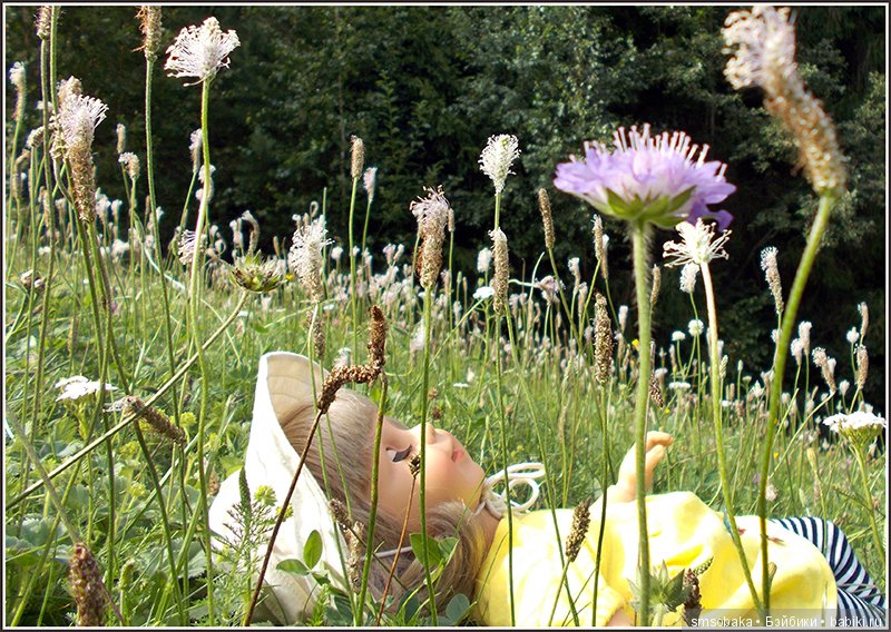 Воспоминания о лете. 3 часть