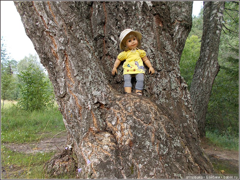 Воспоминания о лете. 3 часть