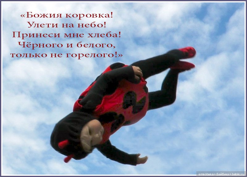 Божья Коровка гуляет в моём саду