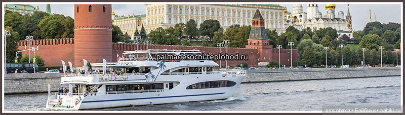 Гастрономический круиз по Москве на морской яхте “Palma де Сочи”