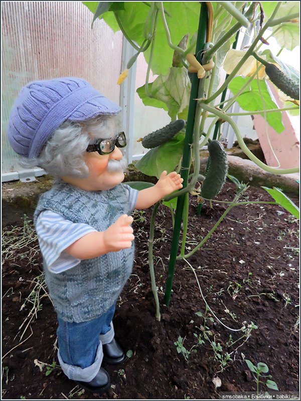 "Вот и лето прошло, словно и не бывало"