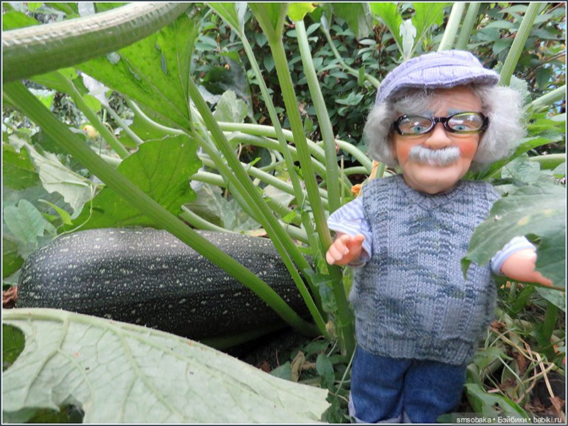 "Вот и лето прошло, словно и не бывало"