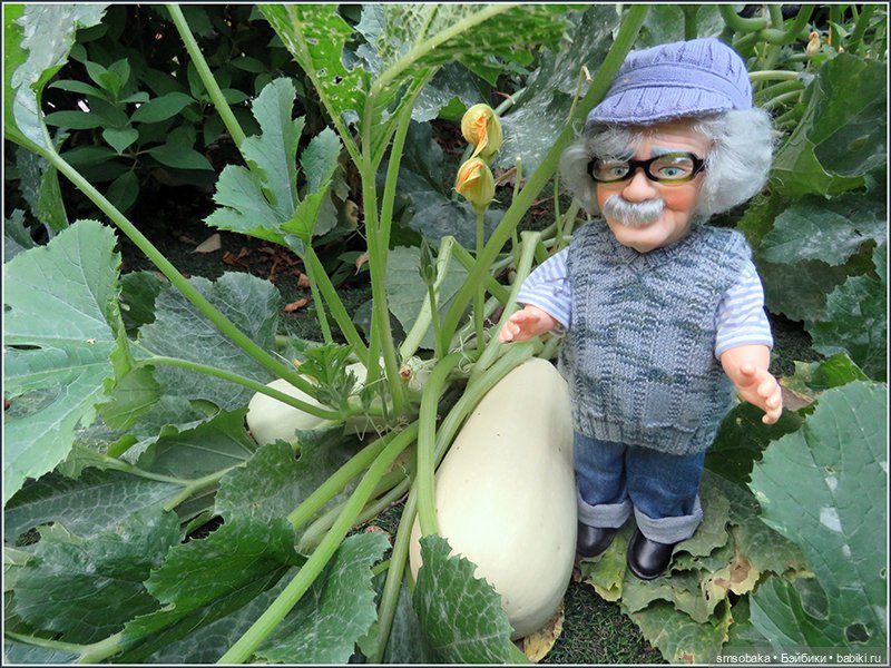 "Вот и лето прошло, словно и не бывало"