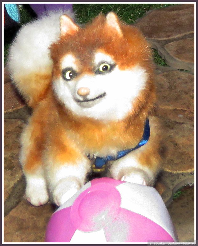 "Вот и лето прошло, словно и не бывало"