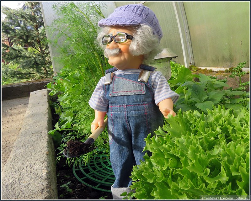 "Вот и лето прошло, словно и не бывало"