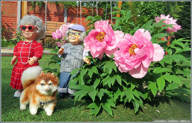 "Вот и лето прошло, словно и не бывало"