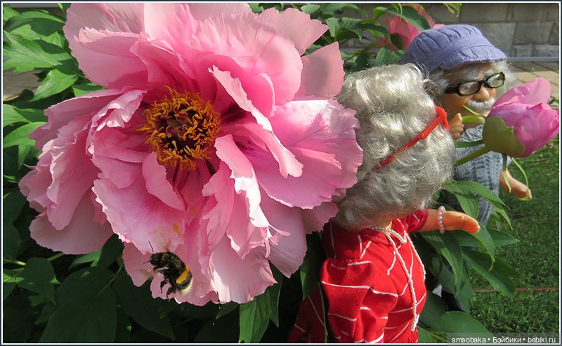 "Вот и лето прошло, словно и не бывало"