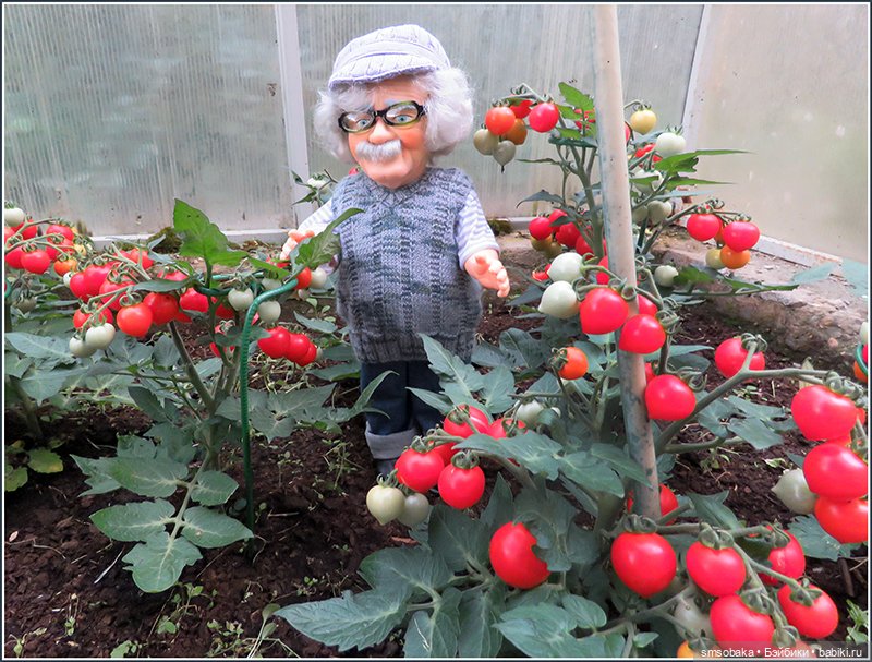 "Вот и лето прошло, словно и не бывало"