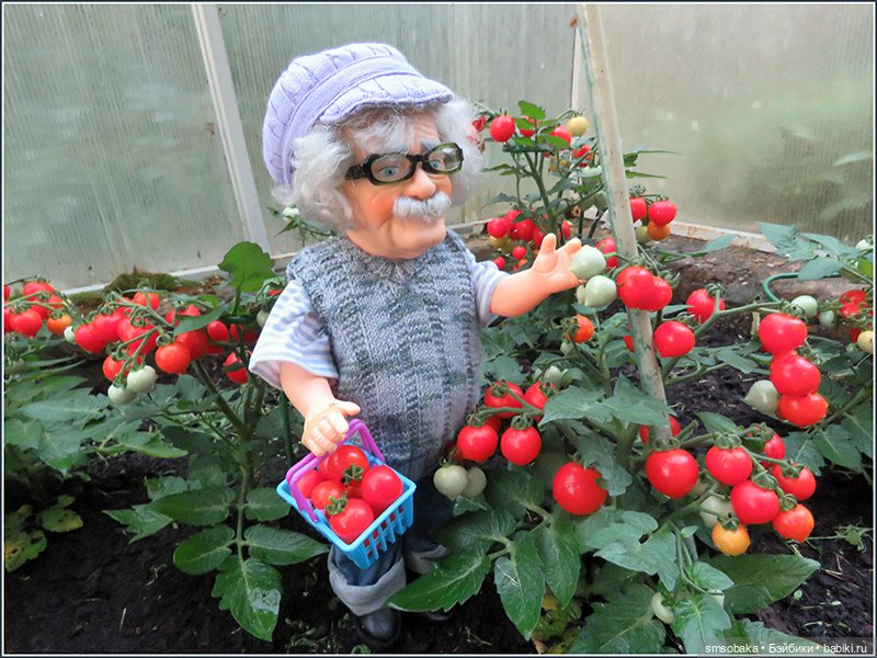 "Вот и лето прошло, словно и не бывало"