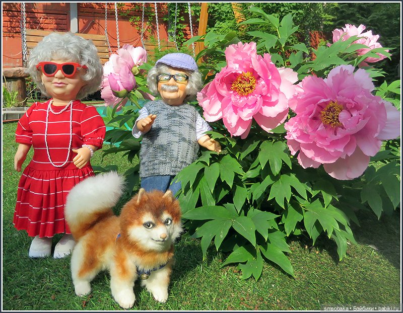 "Вот и лето прошло, словно и не бывало"