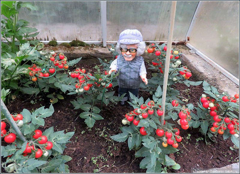 "Вот и лето прошло, словно и не бывало"