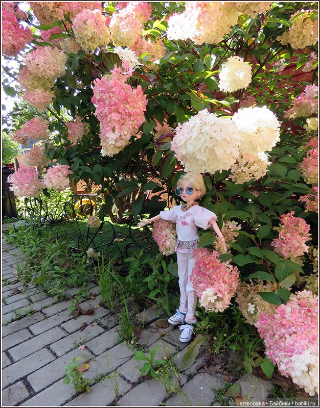 У меня сегодня Юбилей 13 лет! Воспоминания о лете. (1 часть)