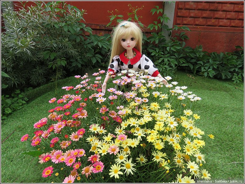 У меня сегодня Юбилей 13 лет! Воспоминания о лете. (1 часть)