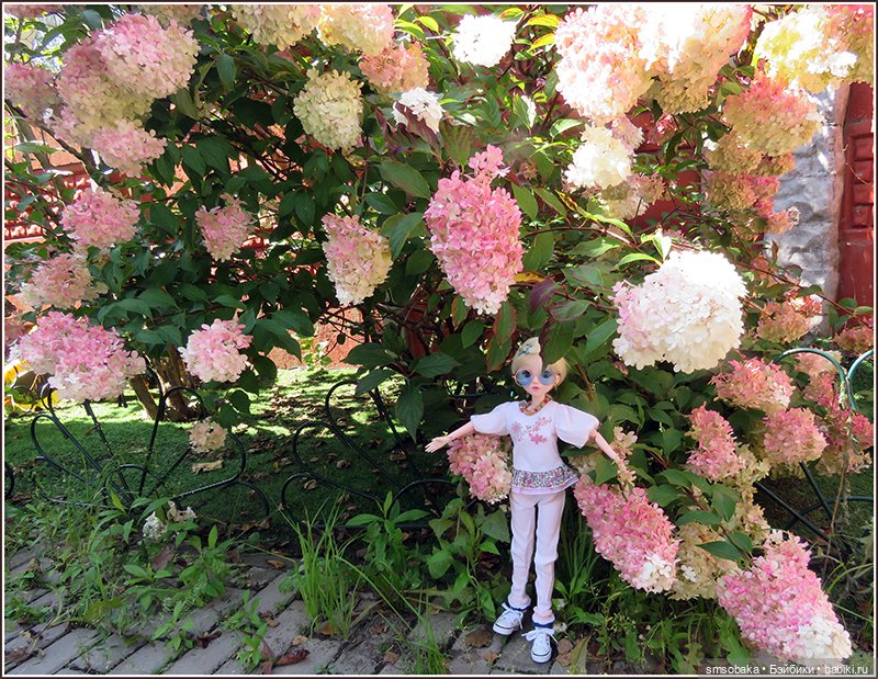 У меня сегодня Юбилей 13 лет! Воспоминания о лете. (1 часть)