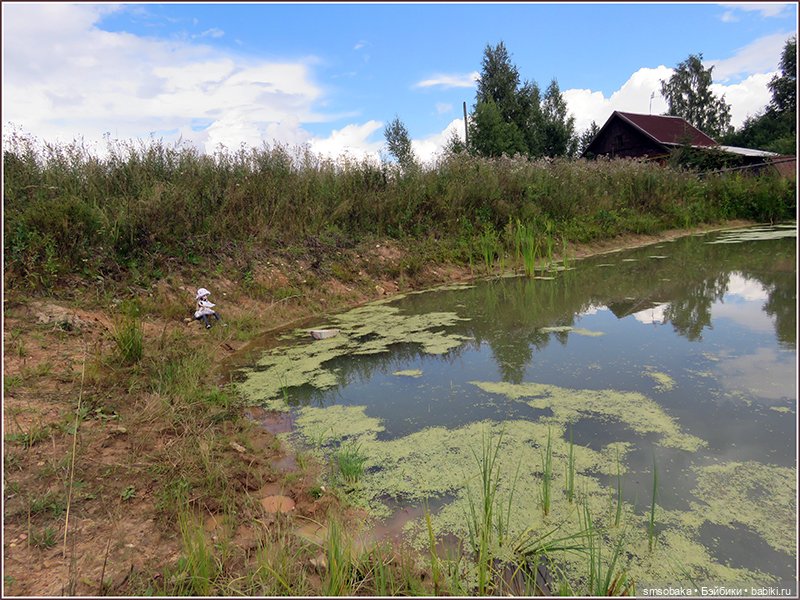У меня сегодня Юбилей 13 лет! Воспоминания о лете. (2 часть)