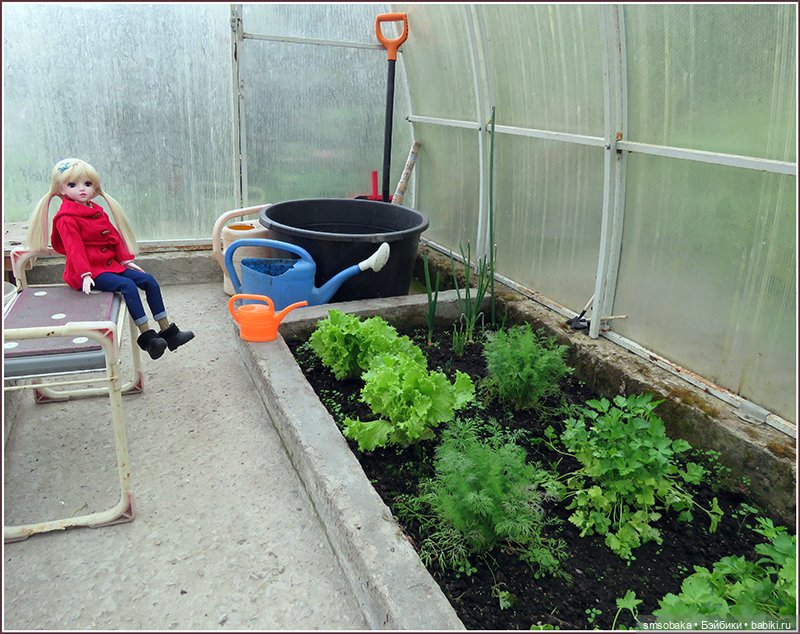 У меня сегодня Юбилей 13 лет! Воспоминания о лете. (1 часть)