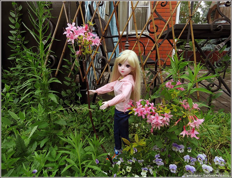 У меня сегодня Юбилей 13 лет! Воспоминания о лете. (1 часть)