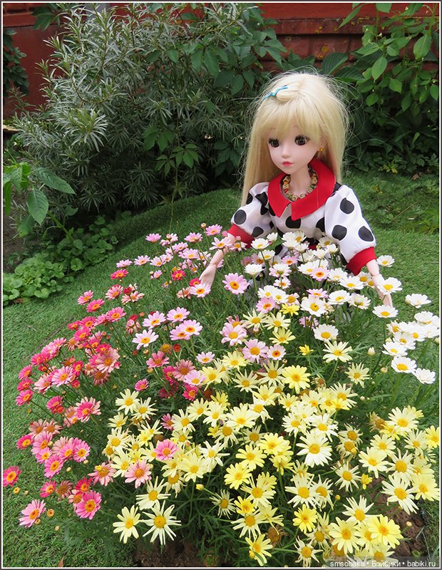 У меня сегодня Юбилей 13 лет! Воспоминания о лете. (1 часть)