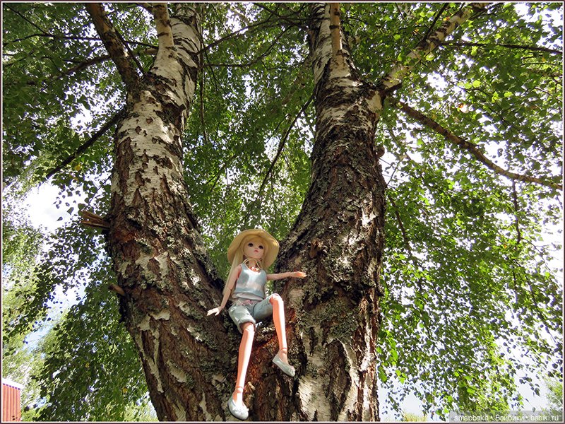 У меня сегодня Юбилей 13 лет! Воспоминания о лете. (2 часть)