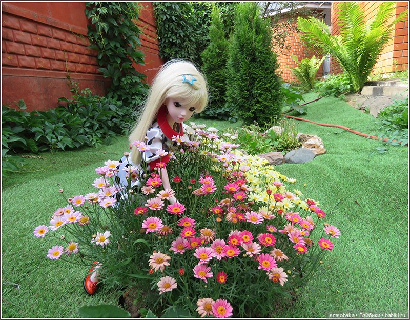 У меня сегодня Юбилей 13 лет! Воспоминания о лете. (1 часть)