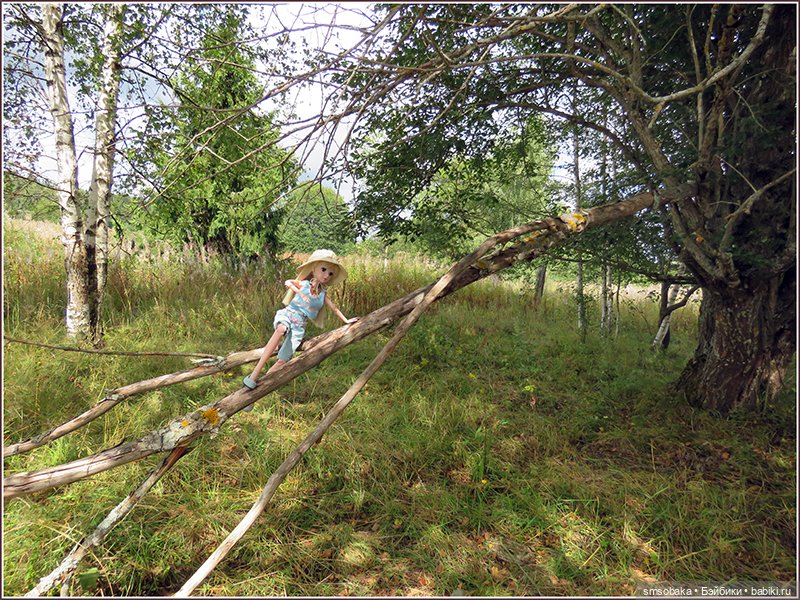 У меня сегодня Юбилей 13 лет! Воспоминания о лете. (2 часть)