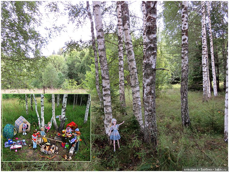 У меня сегодня Юбилей 13 лет! Воспоминания о лете. (2 часть)