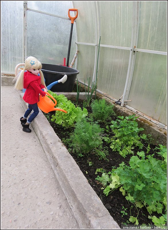 У меня сегодня Юбилей 13 лет! Воспоминания о лете. (1 часть)