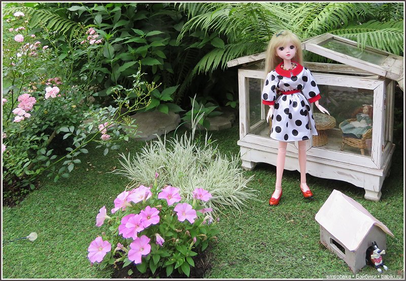 У меня сегодня Юбилей 13 лет! Воспоминания о лете. (1 часть)