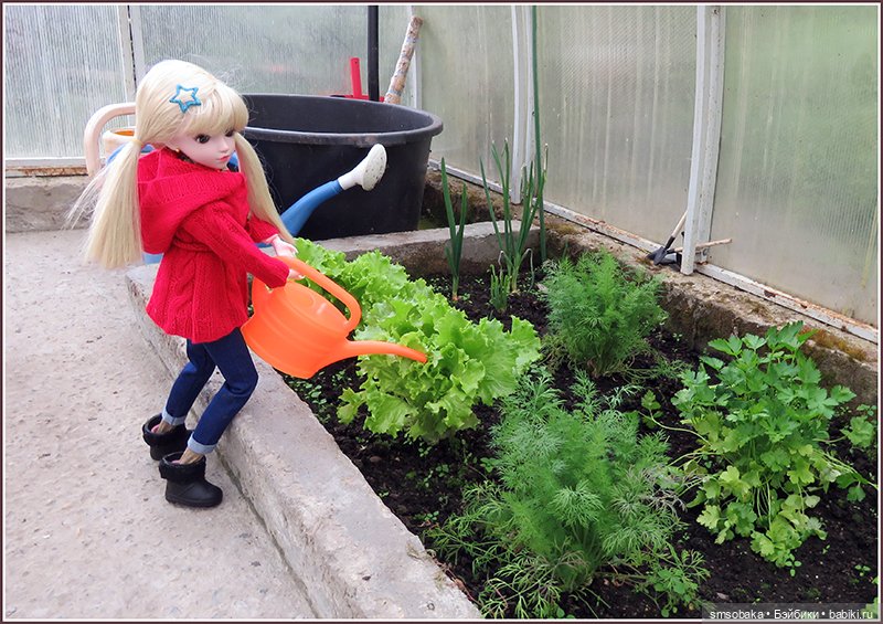 У меня сегодня Юбилей 13 лет! Воспоминания о лете. (1 часть)