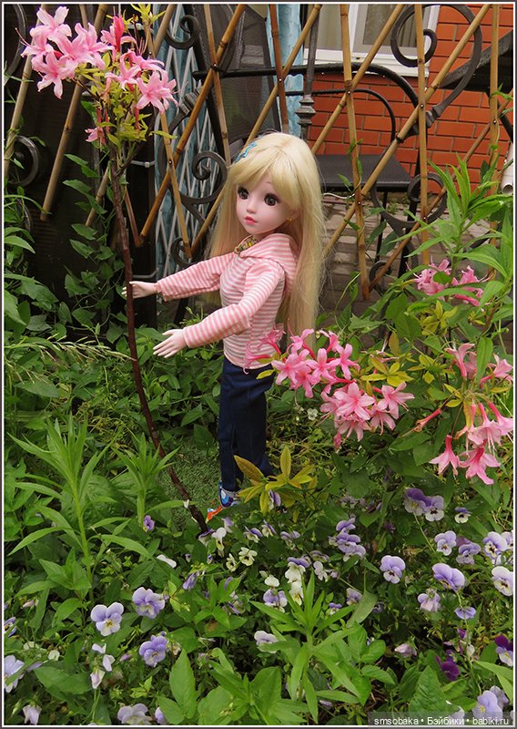 У меня сегодня Юбилей 13 лет! Воспоминания о лете. (1 часть)