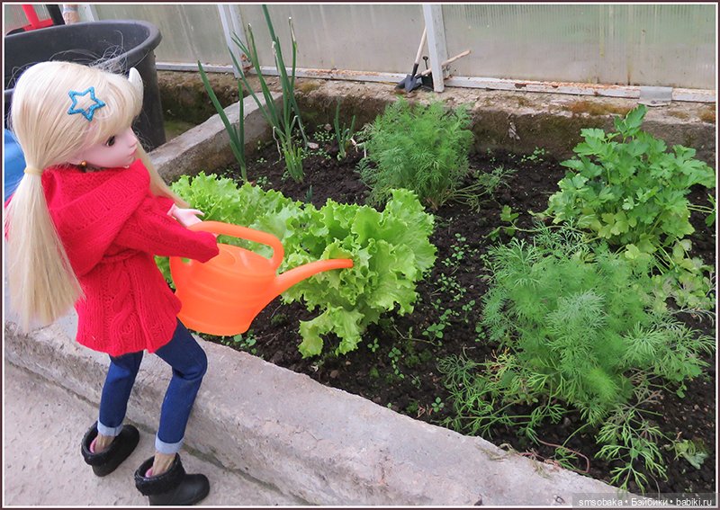 У меня сегодня Юбилей 13 лет! Воспоминания о лете. (1 часть)