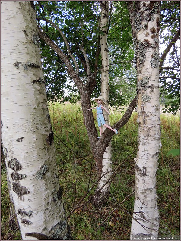 У меня сегодня Юбилей 13 лет! Воспоминания о лете. (2 часть)