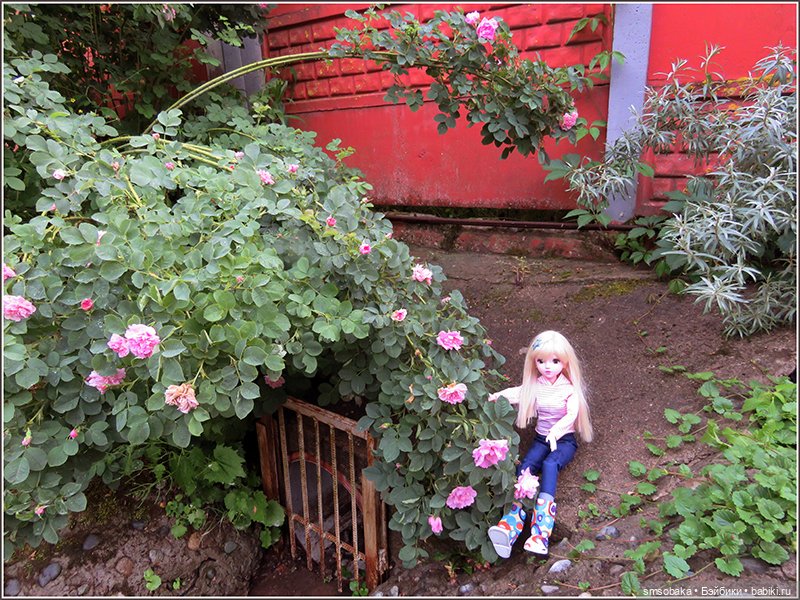 У меня сегодня Юбилей 13 лет! Воспоминания о лете. (1 часть)