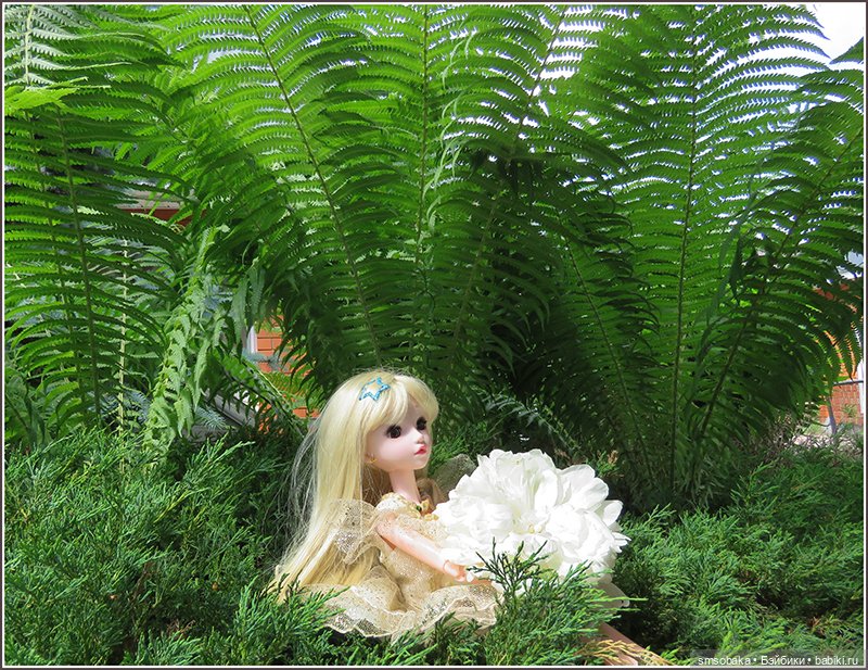 У меня сегодня Юбилей 13 лет! Воспоминания о лете. (1 часть)