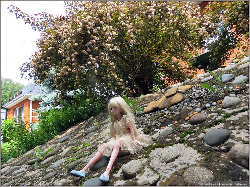 У меня сегодня Юбилей 13 лет! Воспоминания о лете. (1 часть)