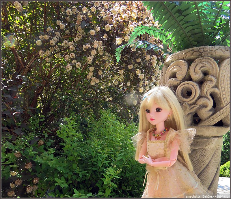 У меня сегодня Юбилей 13 лет! Воспоминания о лете. (1 часть)