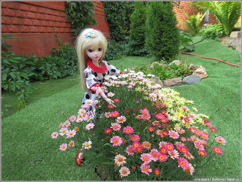 У меня сегодня Юбилей 13 лет! Воспоминания о лете. (1 часть)