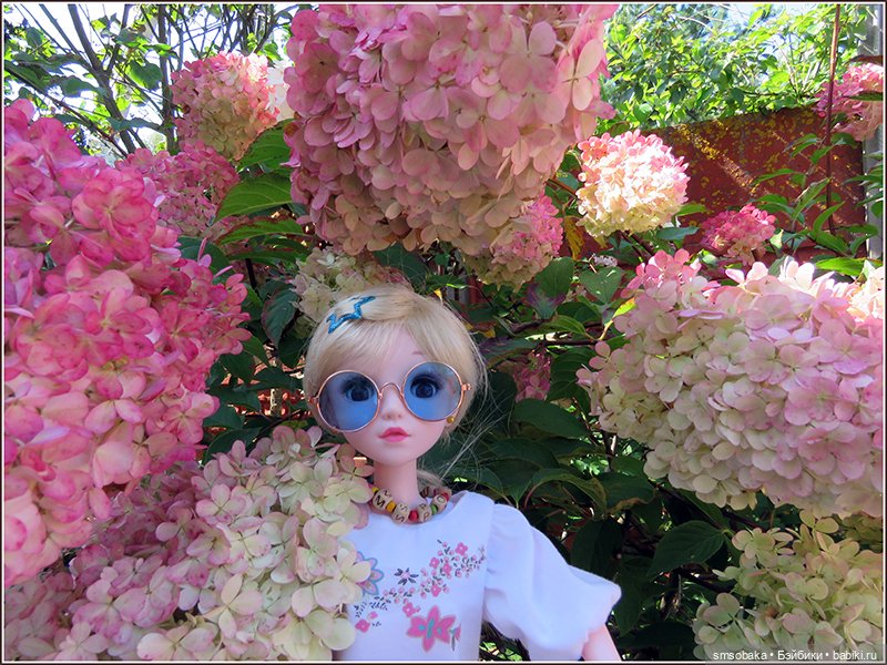 У меня сегодня Юбилей 13 лет! Воспоминания о лете. (1 часть)