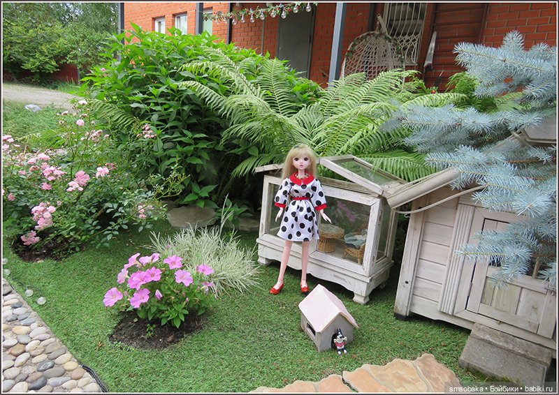 У меня сегодня Юбилей 13 лет! Воспоминания о лете. (1 часть)