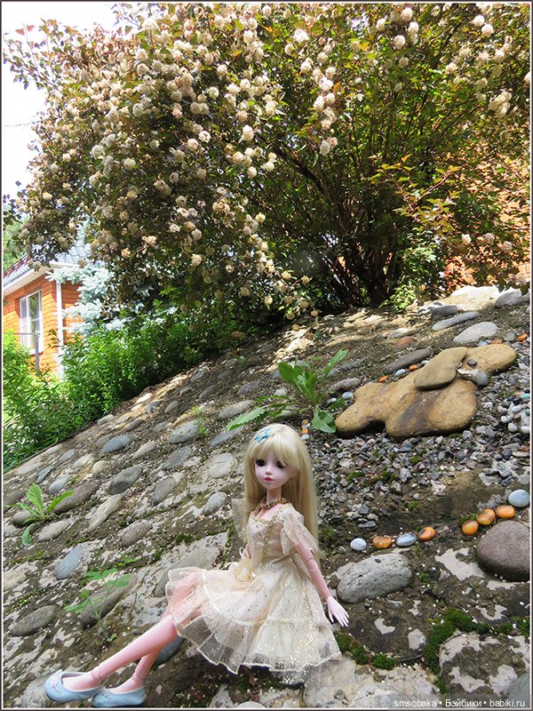 У меня сегодня Юбилей 13 лет! Воспоминания о лете. (1 часть)