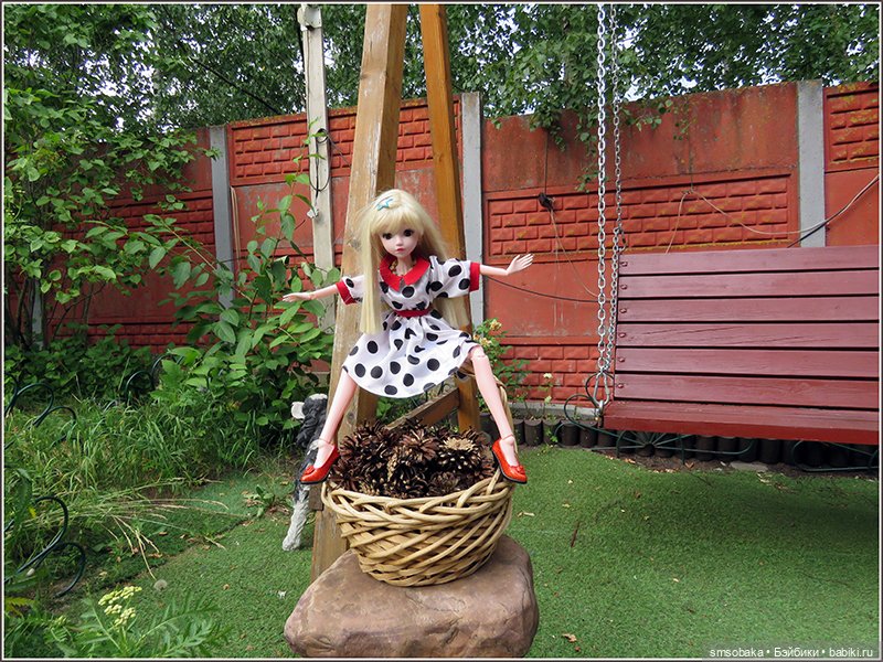 Шишки-они живые! Домашний синоптик