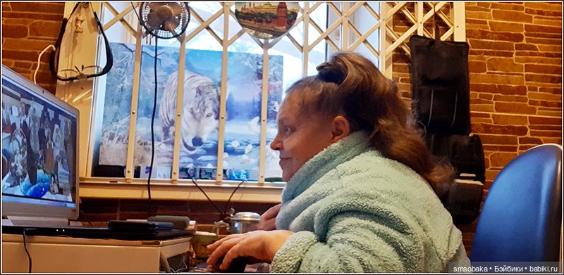 Мечты сбываются! Аю-Даг Медведь-гора (фото 2)