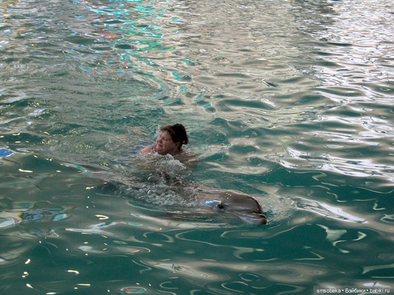 Мечты сбываются! Аю-Даг Медведь-гора (фото 5)