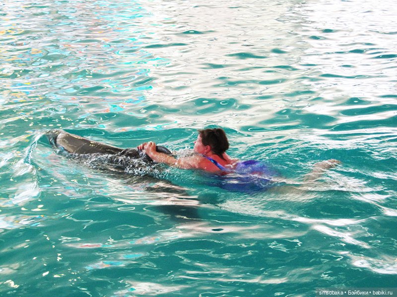 Мечты сбываются! Аю-Даг Медведь-гора (фото 4)