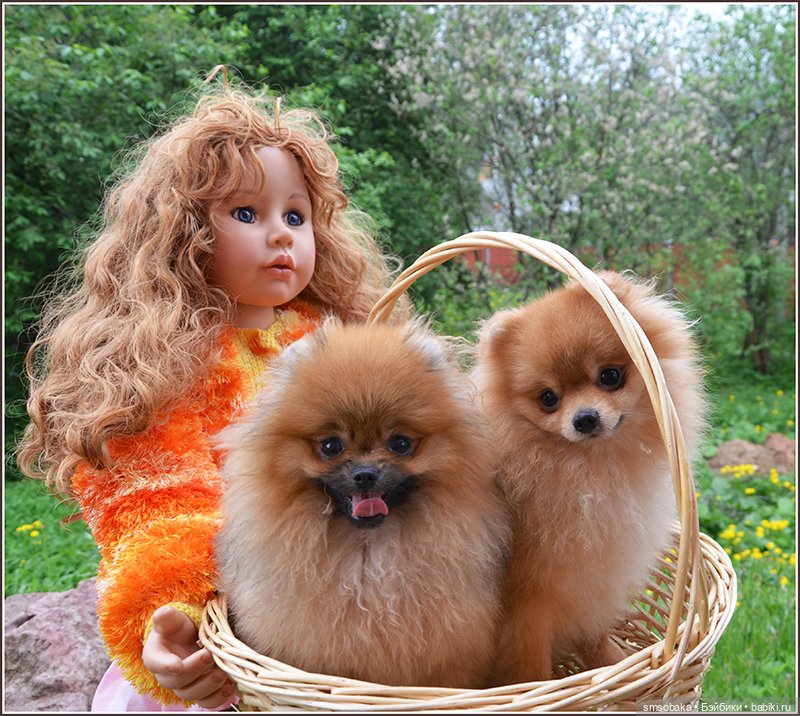 Ассорти. Часть 1 — Игровые куклы разных производителей (Разное): редкие бренды