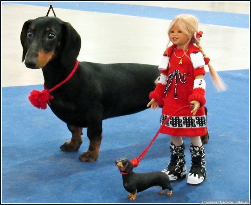 Ассорти. Часть 2 — Игровые куклы разных производителей (Разное): редкие бренды (фото 7)